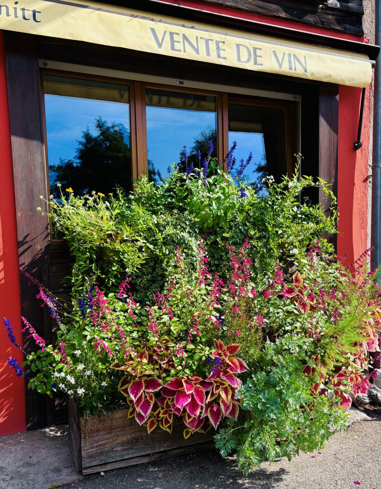 Fleurs au caveau